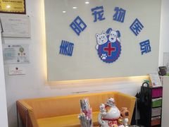 -暖阳宠物医院·犬猫康复中心·骨科
