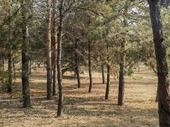 -森林公园(尖草坪区)