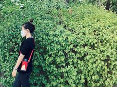 -迎泽公园