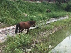 -北京鹿世界主题园