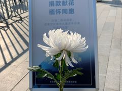 -侵华日军南京大屠杀遇难同胞纪念馆