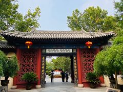 -大槐树寻根祭祖园