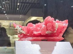 -中国地质博物馆