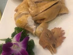 白切鸡-大欢喜饭店(江怡路店)