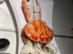 -百乐潮州酒家(时代广场店)