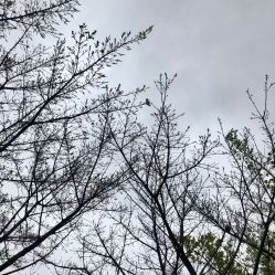 -亚洲海湾大酒店·宴会厅