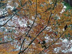 -同里国家湿地公园