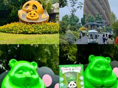 -成都大熊猫繁育研究基地
