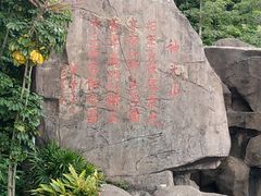 -神光山国家森林公园