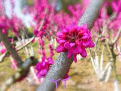 -白塘生态植物园