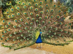 -杭州野生动物世界