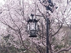 -碑林公园