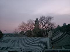 -颐和园