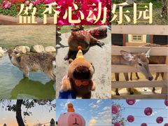 -盈香心动乐园