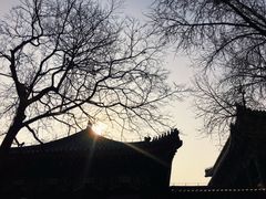 -国家图书馆·古籍馆