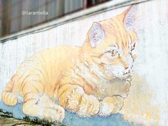 -槟城街头艺术街区