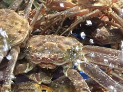 -蟹之国·精品蟹料理(极地店)