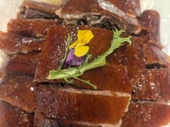 -椿记烧鹅(叠彩店)