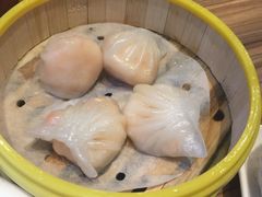 -粤港餐厅(禹州商业广场店)