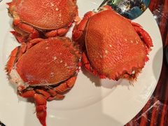 -广州万富希尔顿酒店-感趣自助餐厅·生蚝海鲜刺身