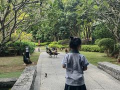 -南宁荔园维景国际大酒店·荔园中餐厅