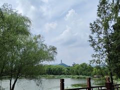 -北坞公园