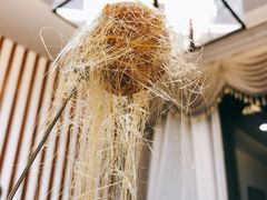 -食神鱼头佛跳墙(百子湾旗舰店)