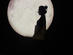 -STARRY CAFE & LOUNGE BAR(高新店)