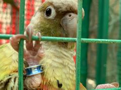 -西安秦岭野生动物园