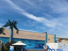 -秦皇岛乐岛海洋王国