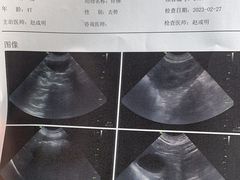 -宠爱国际动物医院·消化内科·心肾内科·ISFM猫友好(望京店)