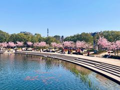 -新江湾城公园