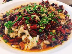 -三猫黑鱼花(南大店)