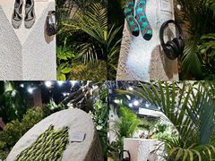 -精绝七日-新疆尼雅遗址数字大展【拉法耶文化艺术中心】