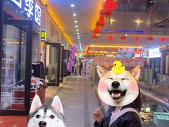 -西宁新千观光夜市(夏都大街店)