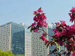 -海棠花溪(元大都城垣遗址公园)
