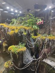 -Zoolung Zoolung动物主题公园(海信广场店)