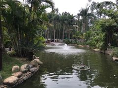 -厦门日月谷温泉渡假村