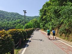-桃花岭景区