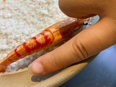 -沿江海南菜·文昌鸡祖师爷(大东海店)