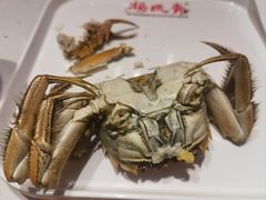 -杨氏青龙虾·羊蝎子(托乐嘉店)