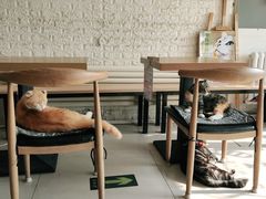 大堂-平行世界·猫咖(首经贸店)