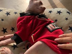 -藏猫猫咖啡主题馆(中央大道店)