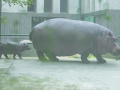 -成都动物园