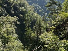 -凤凰山国家森林公园