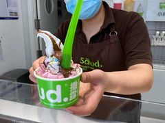 -Salud撒露欧洲冻酸奶(798艺术区店)
