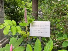 -广州神农草堂中医药博物馆