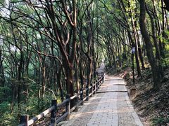 -苏州上方山国家森林公园