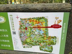 -上海共青森林公园