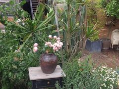 -悦哉·派对·草坪婚礼·围炉煮茶(三圣乡店)